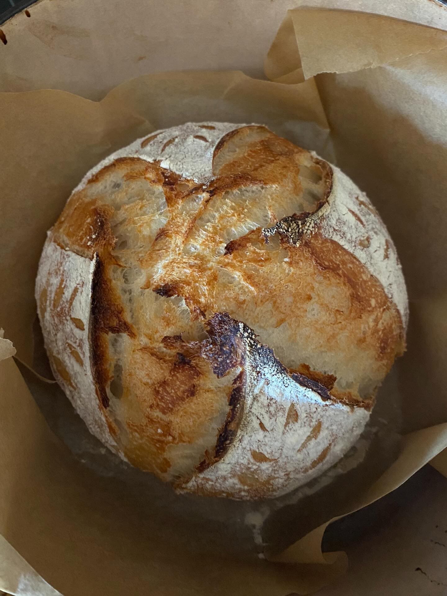 Freshly baked sourdough loaf