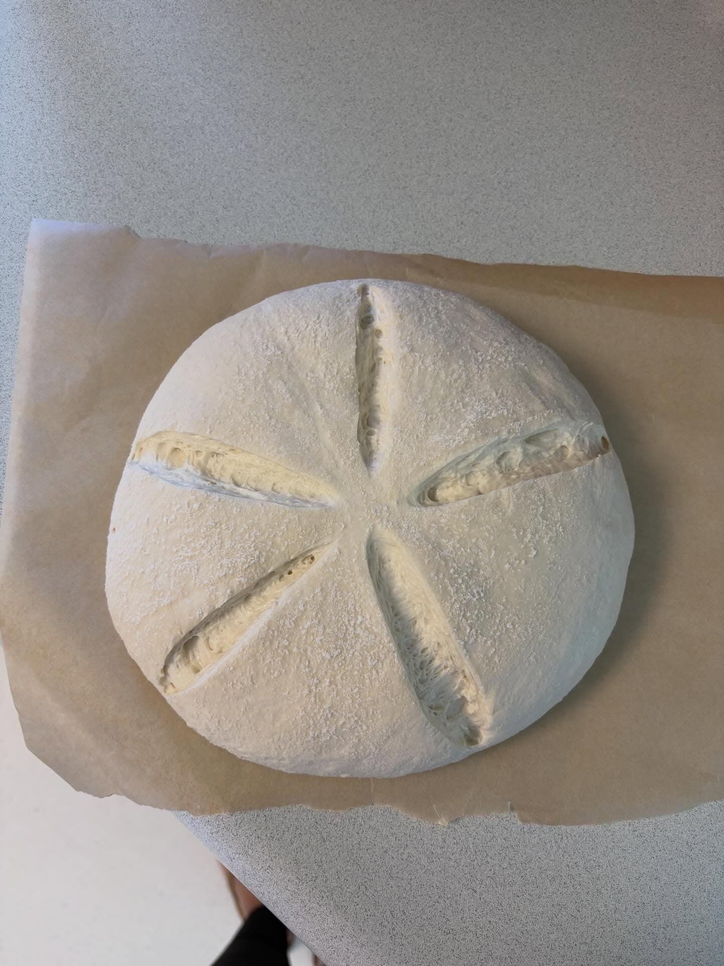 Sourdough loaf 12
