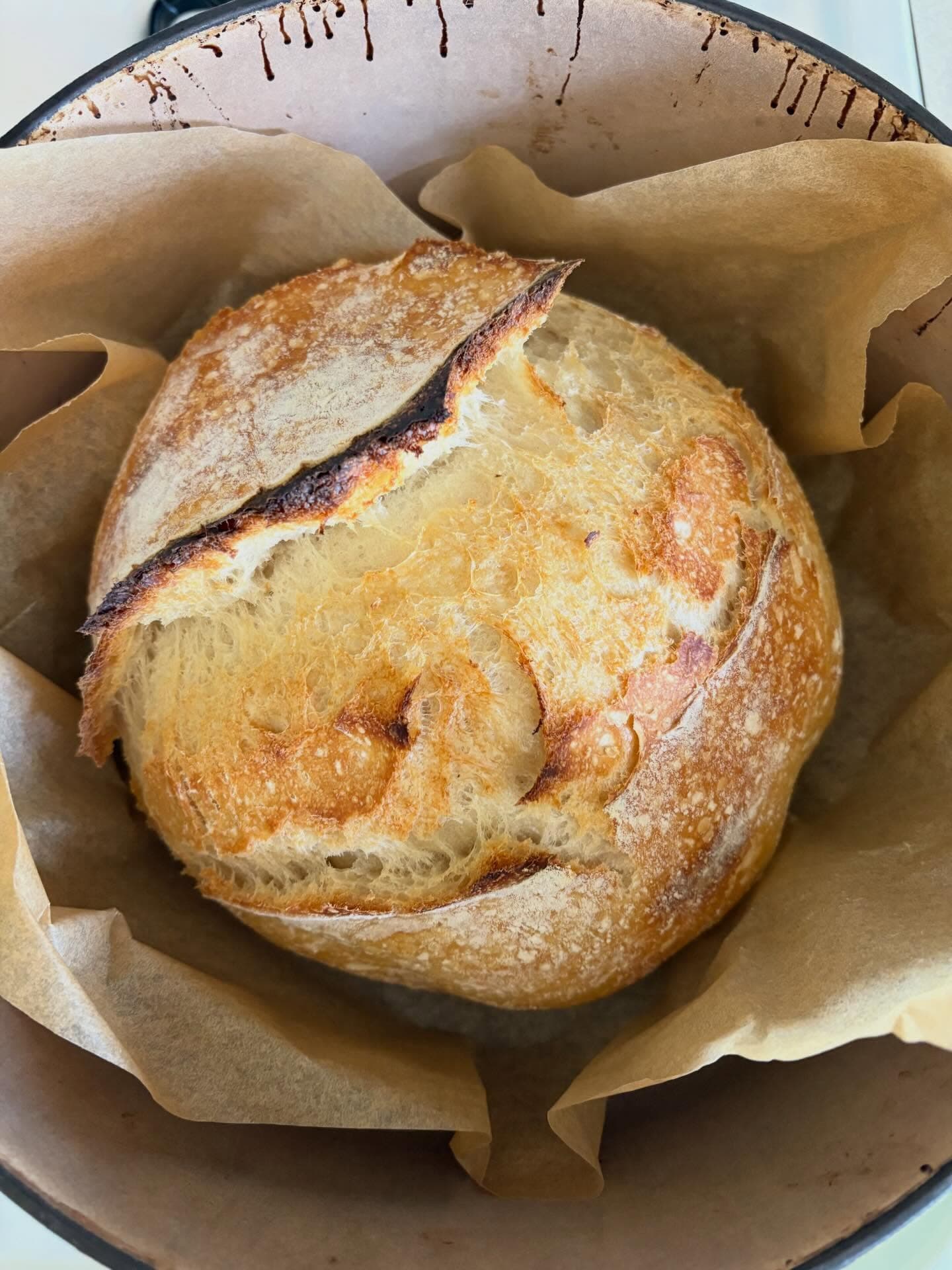 Freshly baked sourdough loaf